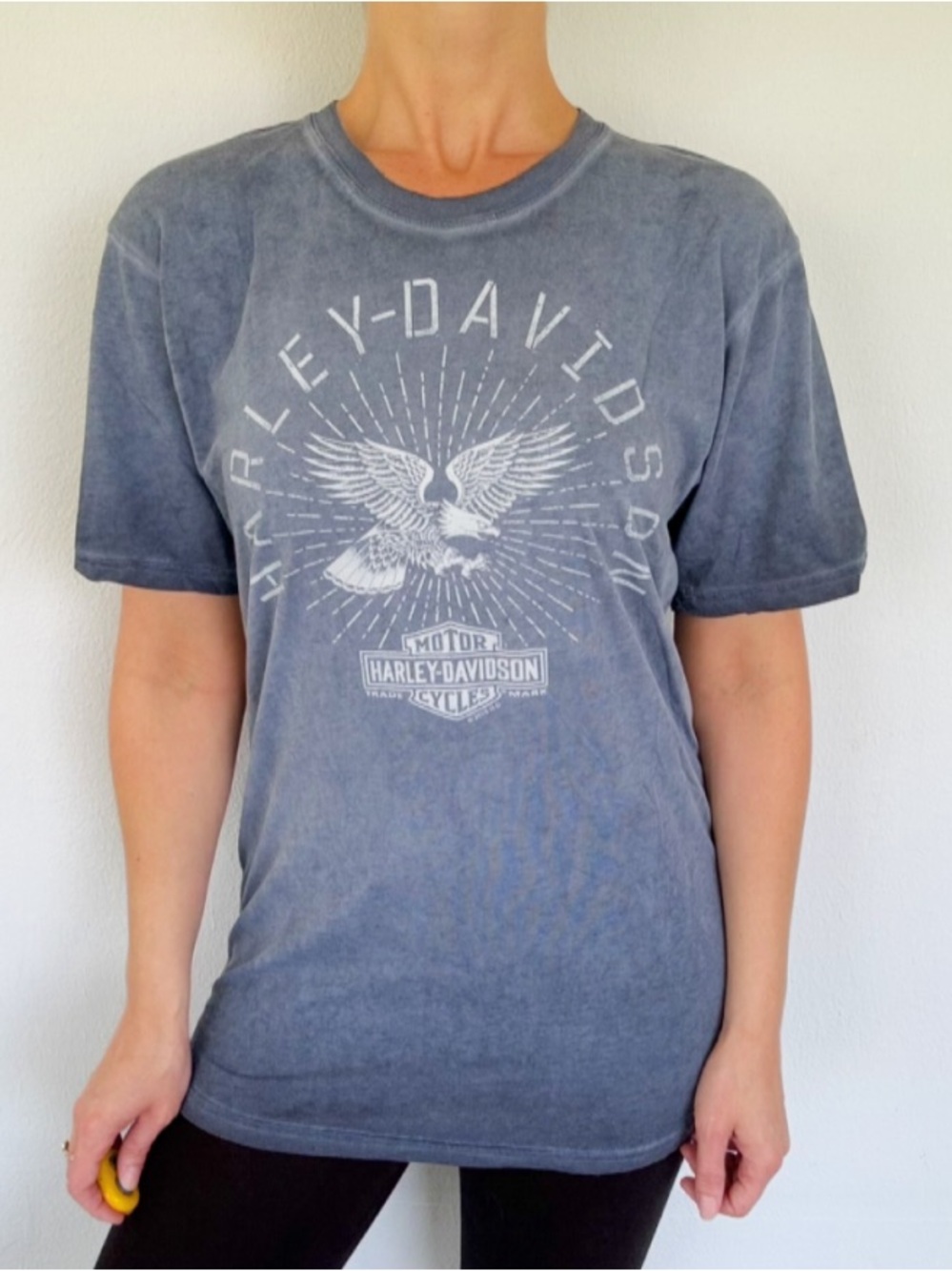 Harley Davidson Hudson Valley blue gray graphic print short sleeve tee medium